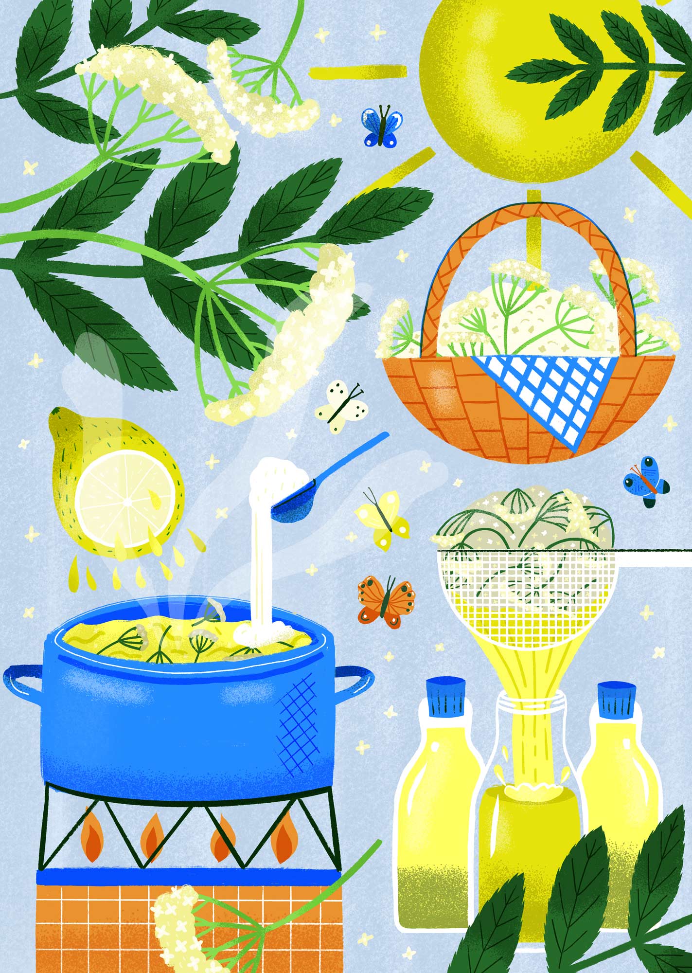 Elderflower Cordial portfolio cover image