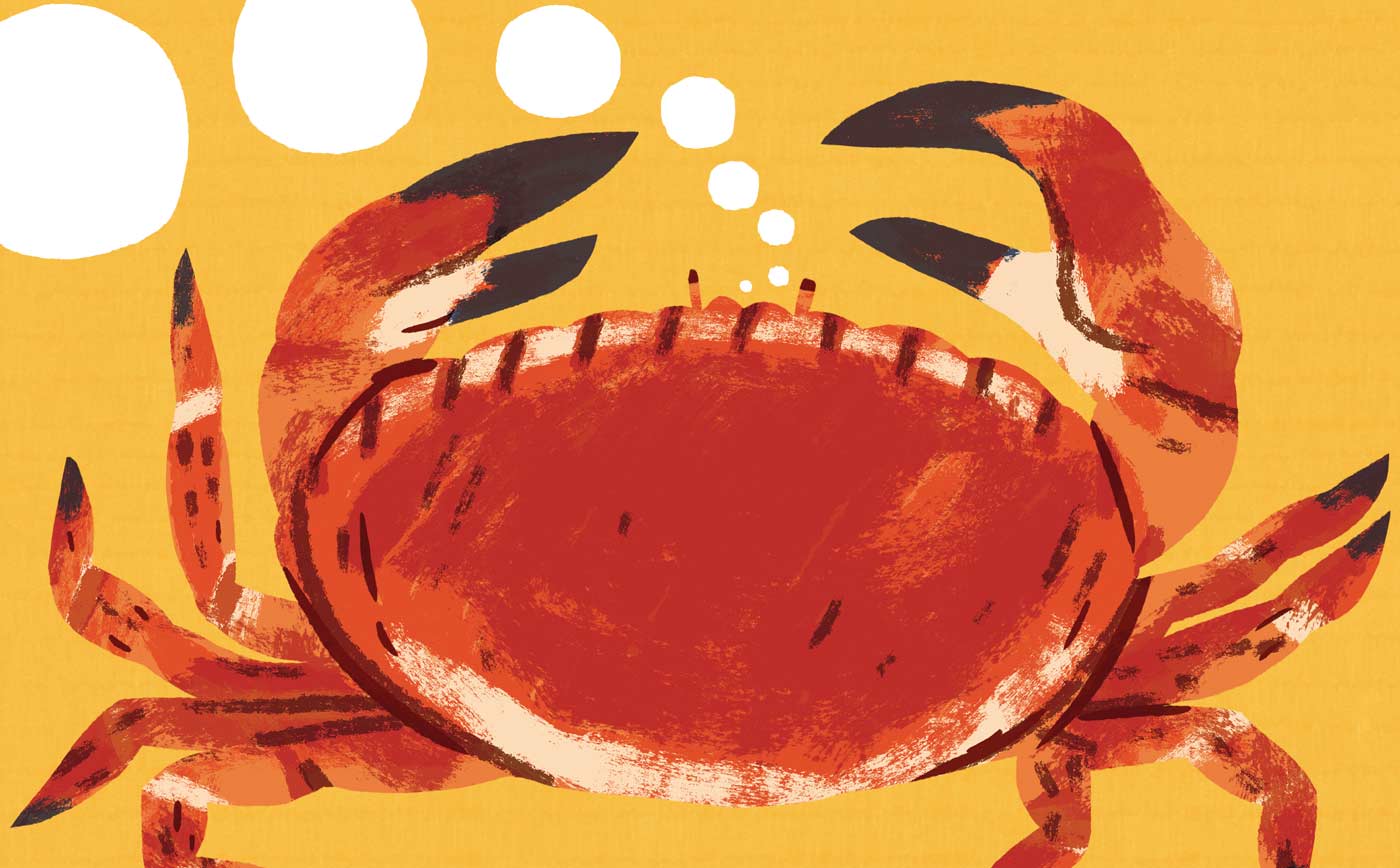 Giant Crab portfolio cover image
