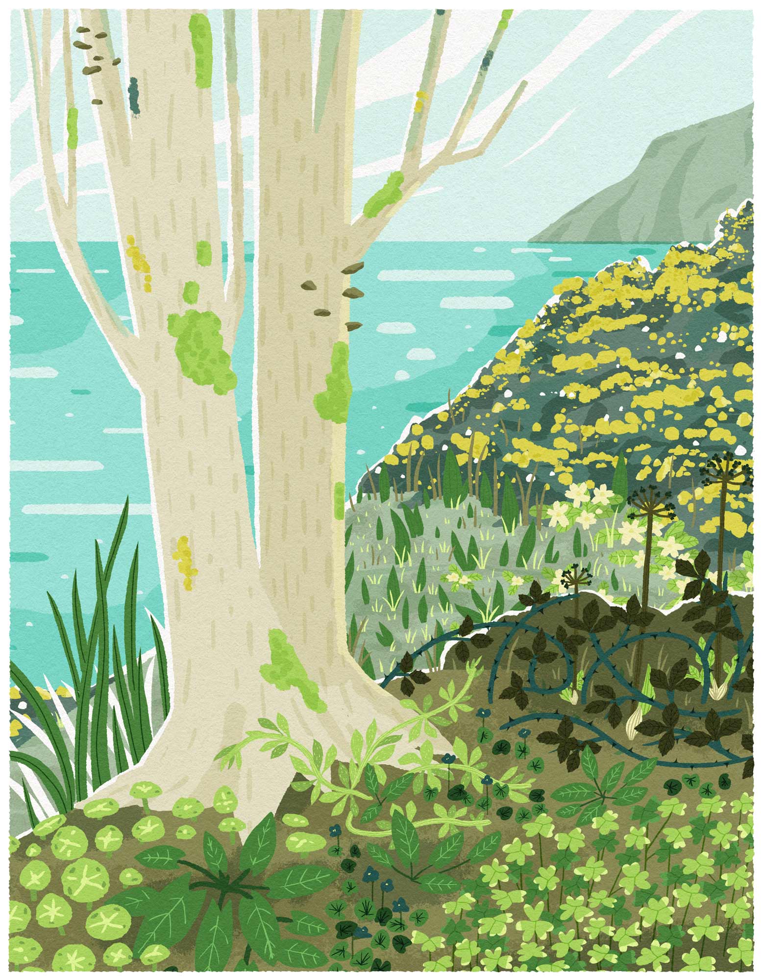 Illustration of a coastal woodland scene with edible forage plants by Elly Jahnz