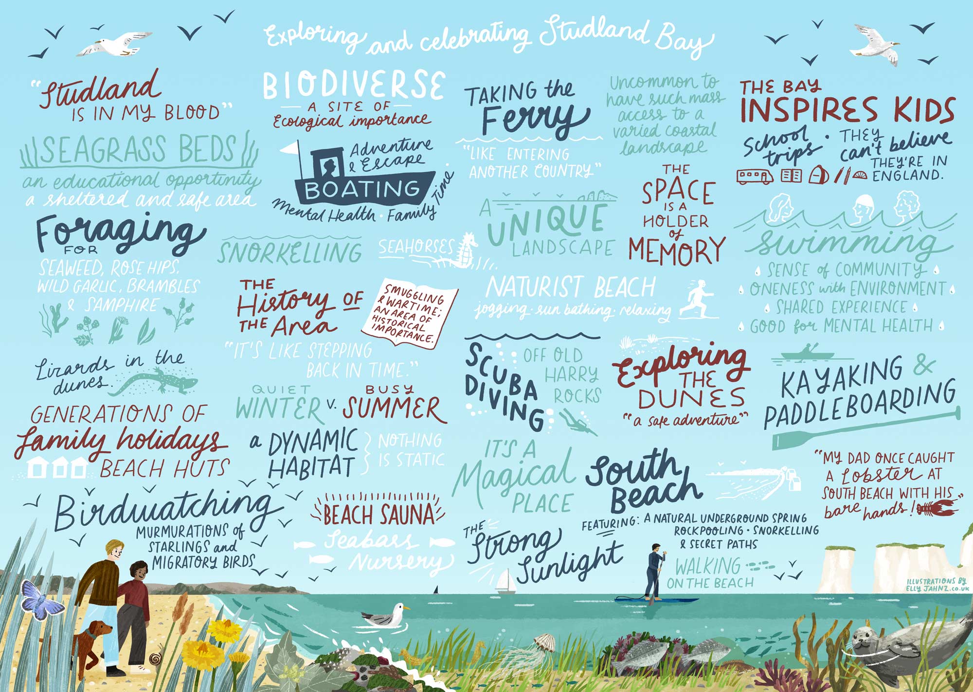 Live Illustration for the Marine Management Organisation, capturing usages of Studland Bay in Dorset, by Elly Jahnz