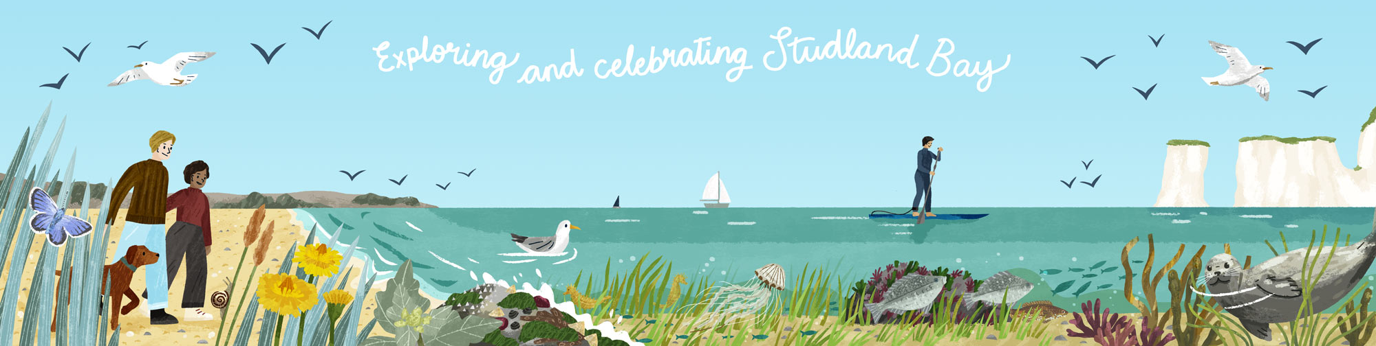 A bespoke illustration of Studland Bay created for a live illustration event by the Marine Management Organisation by Elly Jahnz