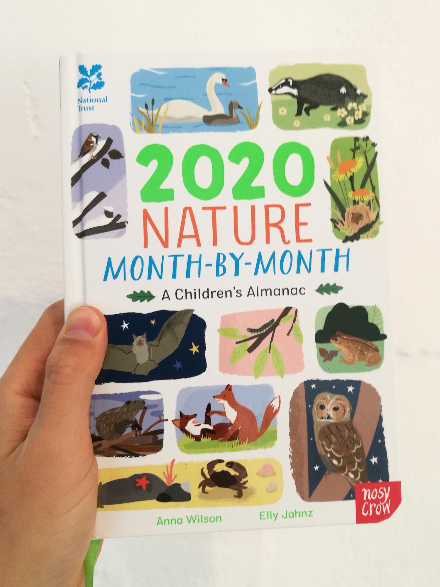 2020 Nature Month by Month illustrated by Elly Jahnz