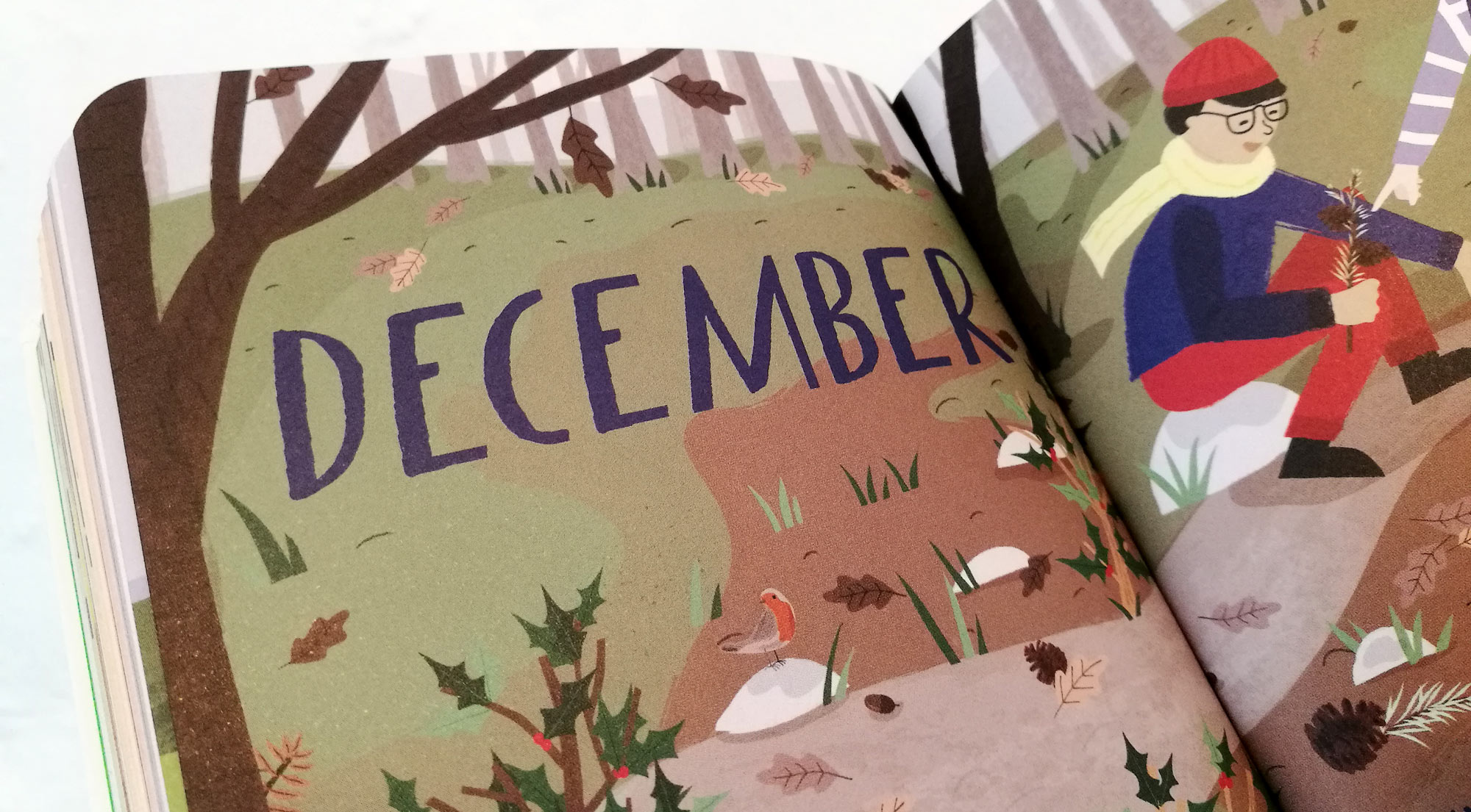 December Opening Spread from 2020 Nature Month by Month illustrated by Elly Jahnz