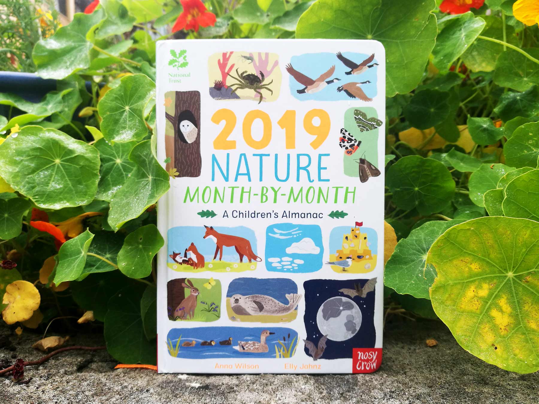 2019 Nature Month by Month published by Nosy Crow and illustrated by Elly Jahnz