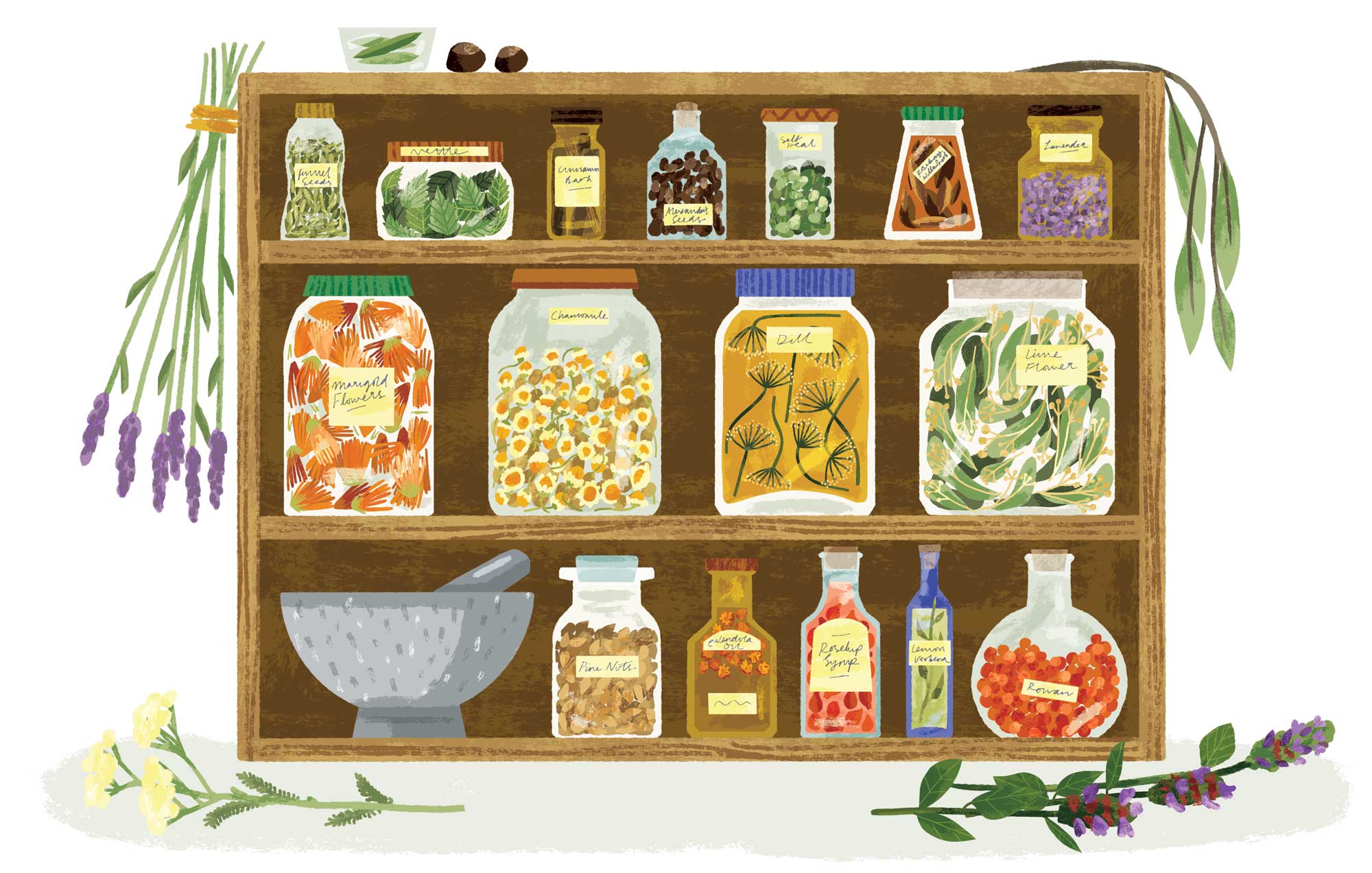 Section from Foraging: The Complete Guide for Kids and Families by Elly Jahnz