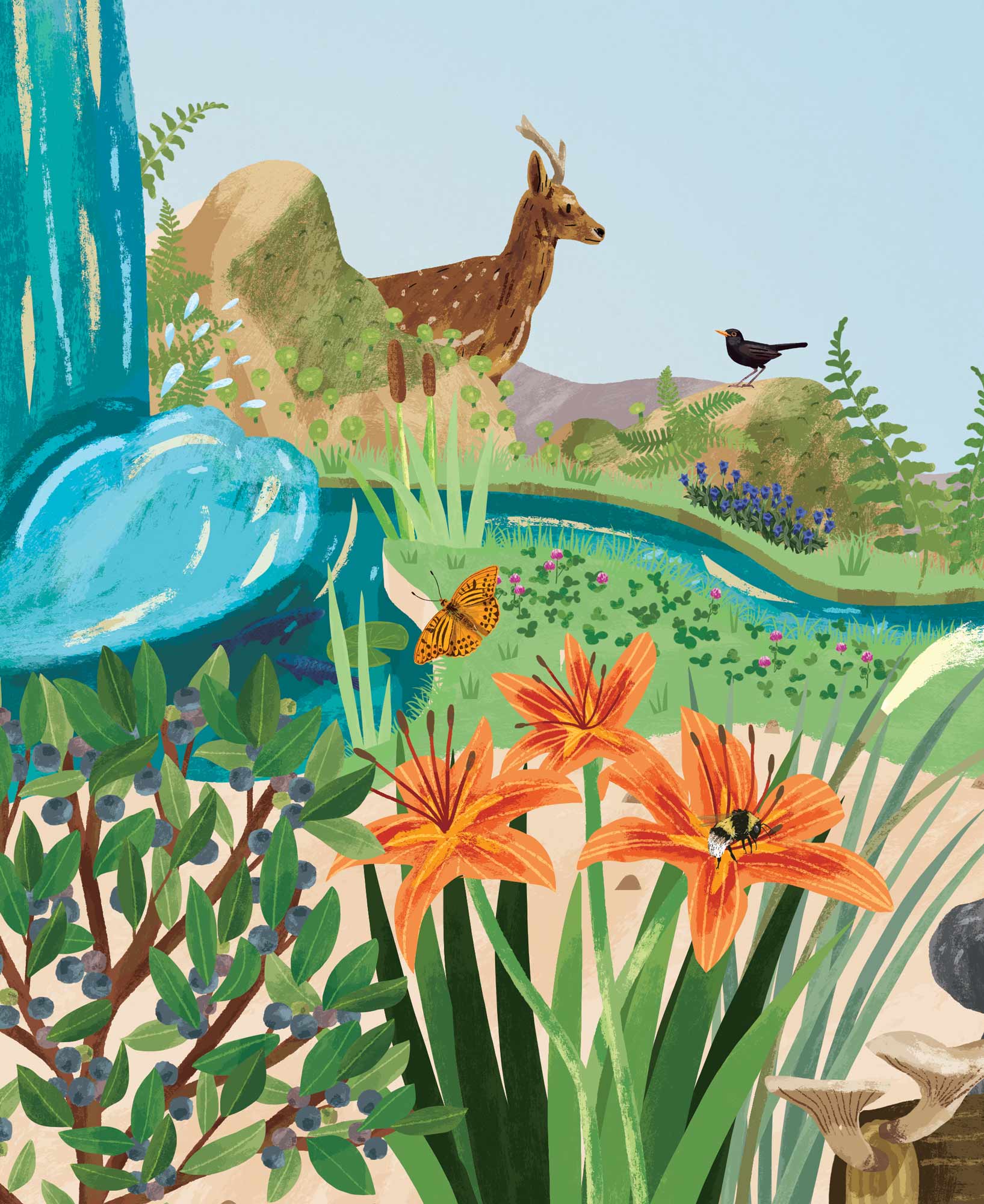 From Foraging: The Complete Guide for Kids and Adults illustrated by Elly Jahnz