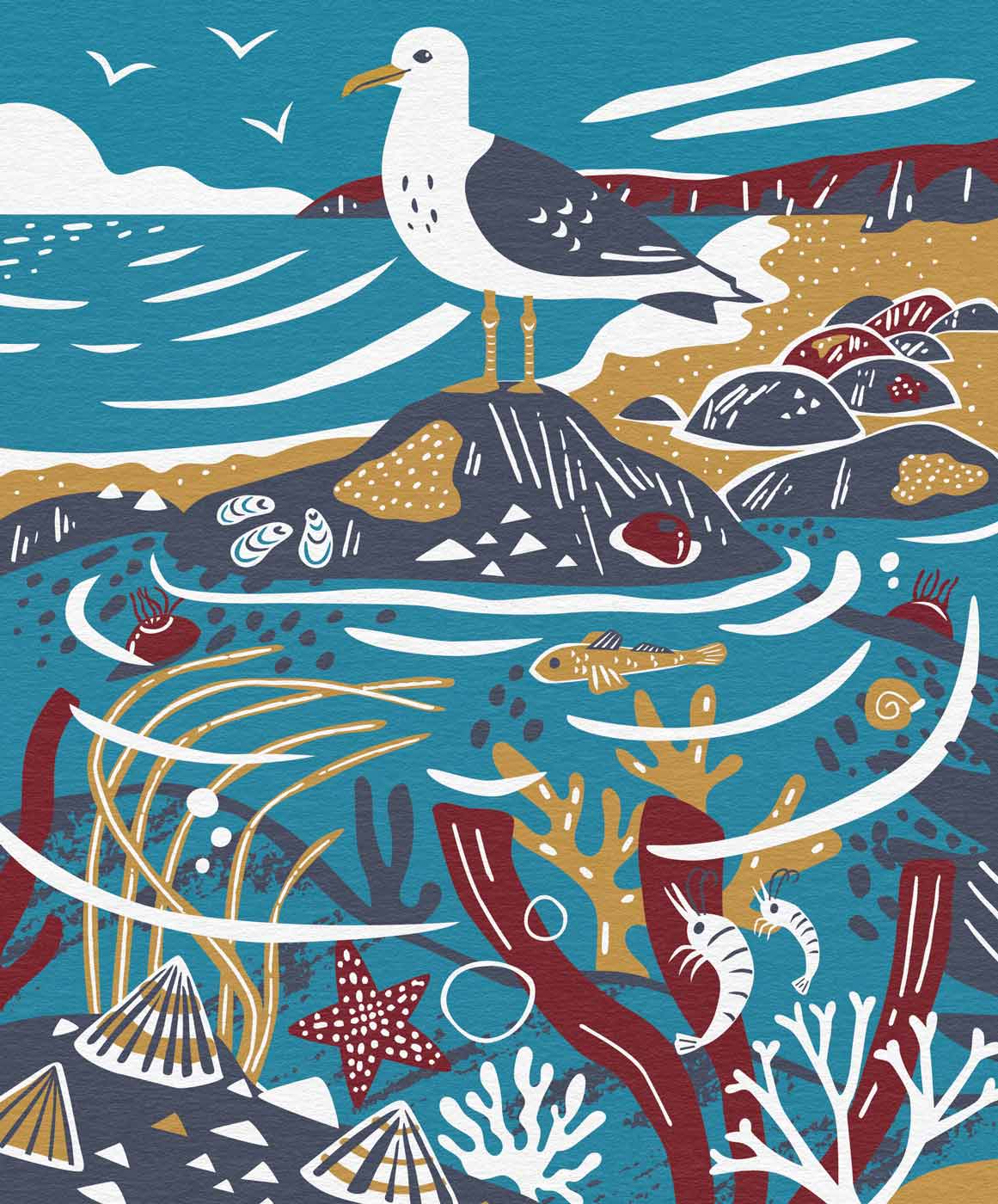 Rockpool Jute Bag portfolio cover image