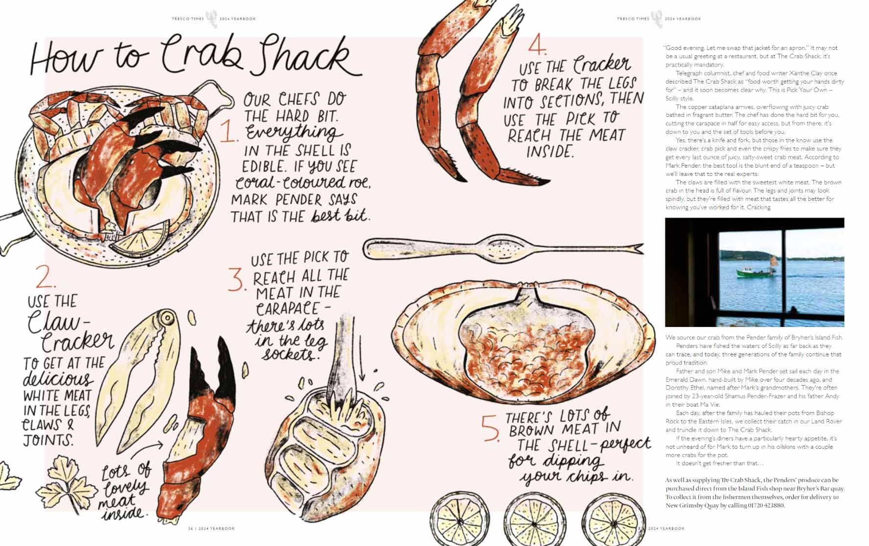 How the final illustration looks in situ; How to dress a crab by Elly Jahnz